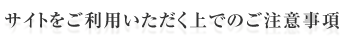 サイトご利用いただく上での注意事項